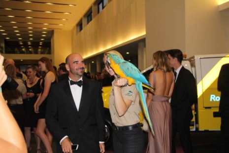 Minnik Chartered Accountants - Australia Zoo - A Great Entertainer