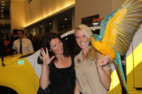 Minnik Chartered Accountants - Australia Zoo