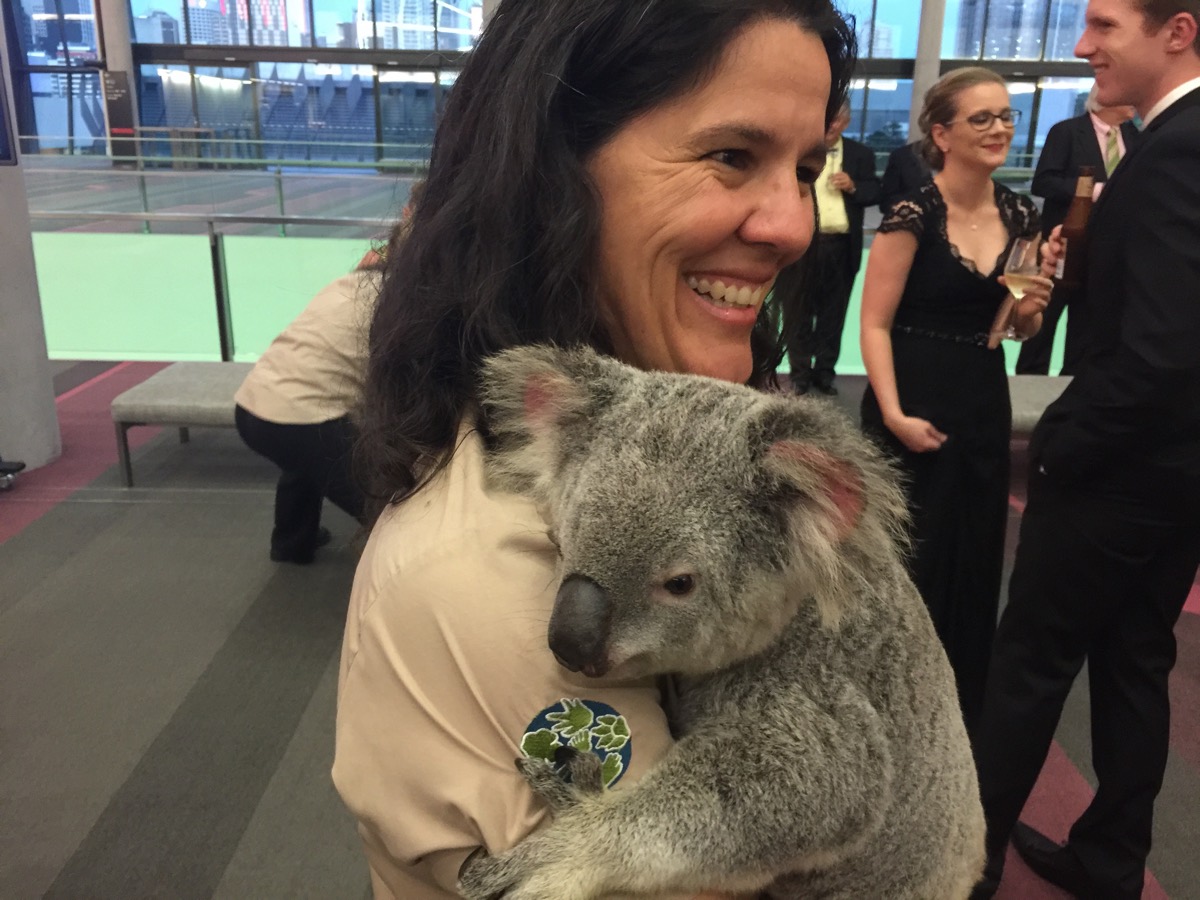 Minnik Integrated Financial Solutions - Australia Zoo - Koala awake for the event
