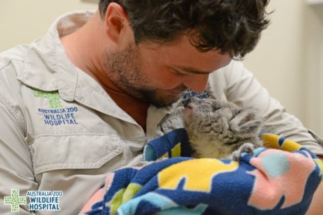 Minnik Integrated Financial Solutions - Australia Zoo