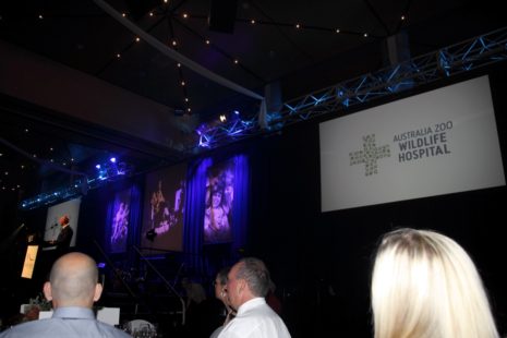 Minnik Chartered Accountants - Australia Zoo - Paul de Gelder talks on the wonderful work of the wildlife hospital