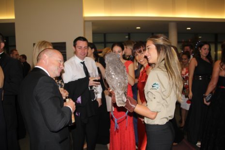 Minnik Chartered Accountants - Australia Zoo - The Centre of Attention