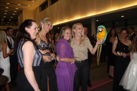 Minnik Chartered Accountants - Australia Zoo - Great Night